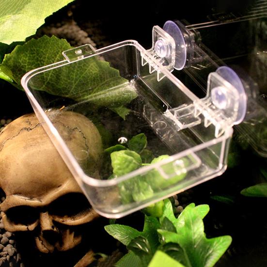 Crawling Pet Feeder Anti-escape Suction Cup Fixed Not Easy To Fall Detachable High-Hardness Lizard