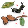 Animal Model Set Pvc Collectible Insect Bird Reptile Amphibian For Education And Display