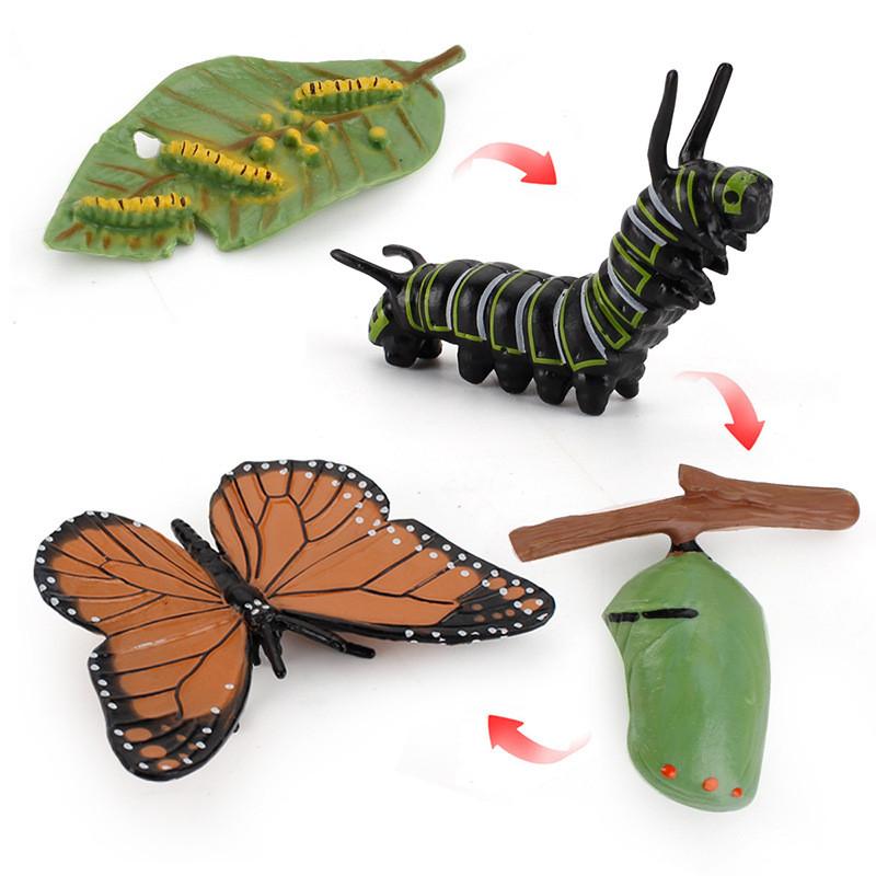 Animal Model Set Pvc Collectible Insect Bird Reptile Amphibian For Education And Display