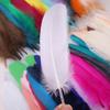 100Pcs Colored Goose Feathers for Decorating Christmas Crafts Dress Jewelry Fringe Accessories 6-8 inch 15-20CM