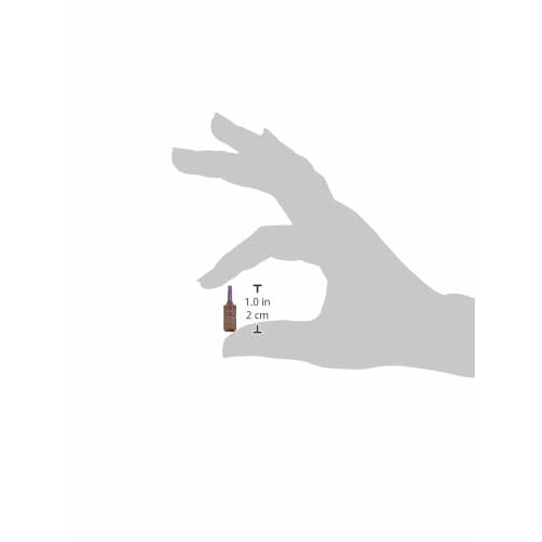 PB SWISS TOOLS C6-210-2 Hex Bit