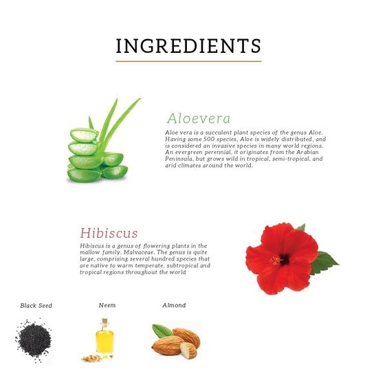 KHADI NATURAL Hibiskus & Aloe Vera Shampoo mit Reetha & Amla Sulfat Parabenfrei - Powered Botanics, 1 Stück