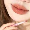 Natural Lip Liner In Nude Color, Lip Primer, Concealer Pen, Lip Contouring and Shading, Lip Plumping, Comes with Lip Brush, No-Makeup Look Lipstick