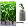 Non-woven Fabric Bags Biodegradables Nursery Bag Plant Grow Bag Flower Pots For Home Garden Accessories Tool 100pcs
