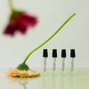 Daily Comma Signature Perfume Discovery Set (Wild Cozy) 3.3ml x 3 Pcs