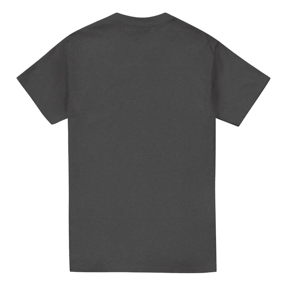 Chevrolet Unisex Adult Chrome Stingray Logo Heather T-Shirt