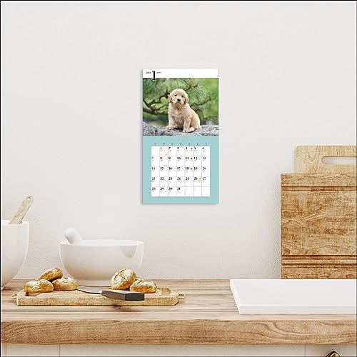 2024 Calendar Cute Golden Retriever (Seibundo Shinkosha Calendar)