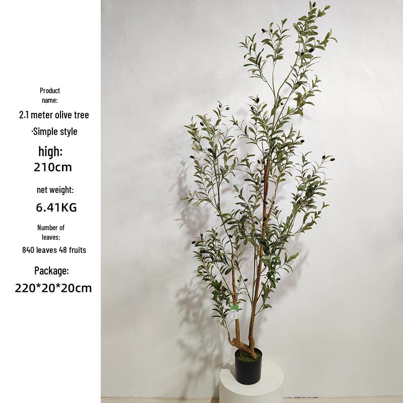 Olive Tree Potted Plant - Indoor Decor Simulation for Living Room