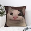 Pet Cat Funny Memes Pillow Cover  Cute Funny Pillow Case For Couch Sofa Bedroom Custom Pillowcases Gift