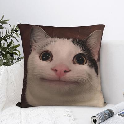 Pet Cat Funny Memes Pillow Cover Cute Funny Pillow Case For Couch Sofa Bedroom Custom Pillowcases Gift
