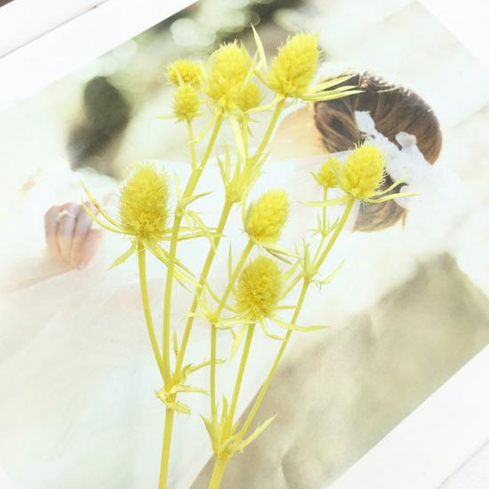 Preserved Eryngium Blue Planet Glass Dome DIY Wedding Flowers