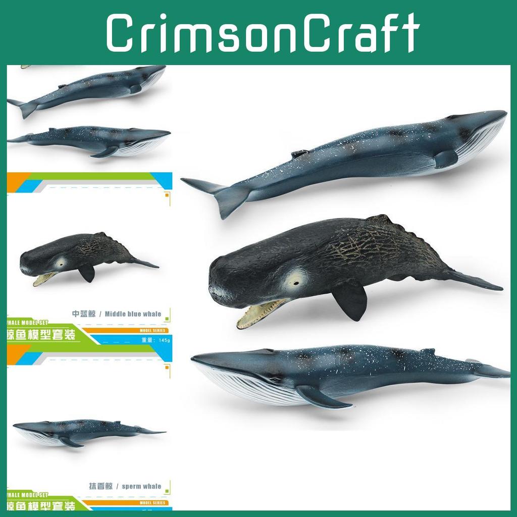 High-quality Realistic Whale Figurines Ideal For Kids' Ocean Education And Decor