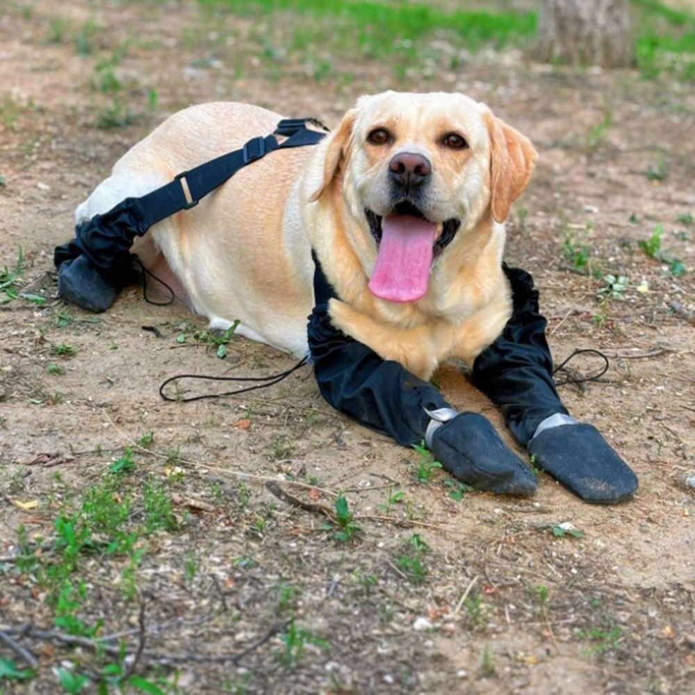Adjustable Dog Boots Non Slip Paw Protectors Pet Practical Dog Outdoor Shoes  Four Seasons Use