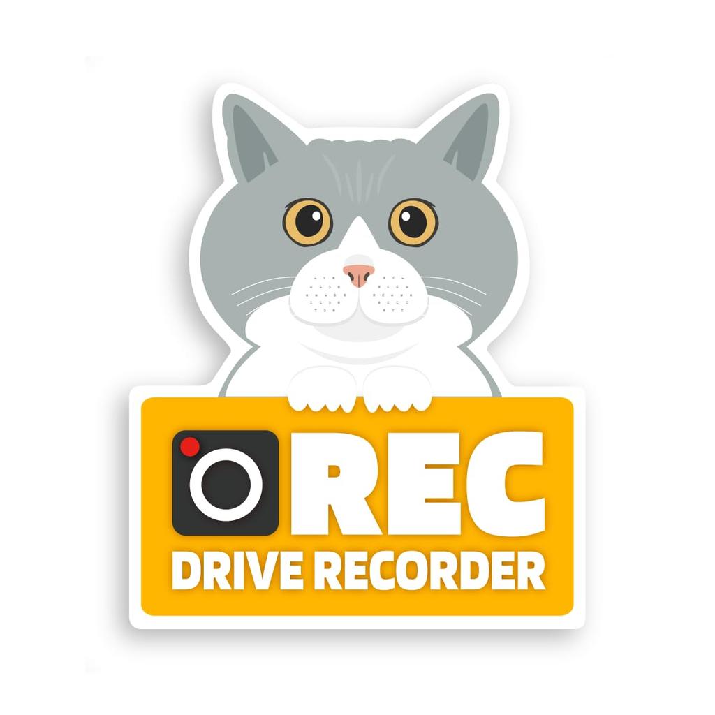 Takasu Shoten Dash Cam Magnet Car Sign Sticker Sticker Car Rear Warning Recording Dog Cat (Cats (White Gray))