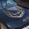 Motor Kapağı vinil yapışkan amblemi Araba Kapı Çıkartması Pontiac Firebird Trans AM Aztek Kobalt Firebird G6 G8 Grand Prix GTO GXP