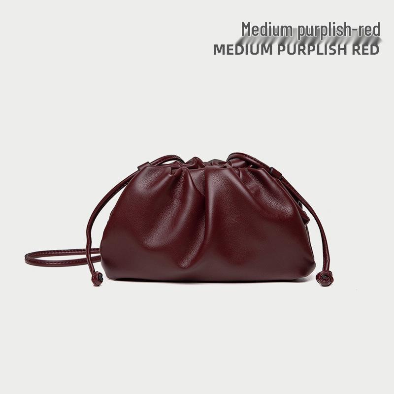 High-End Textured Cloud Dumpling Women's Shoulder Bag - Niche Pleated Design