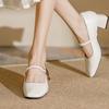 Vintage Mary Jane single shoes high heels autumn new square head thick heel commuting elegant women's single shoes