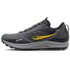 Peregrine 12 GTX Shadow ViZi Men Sneakers Grey S20740-16