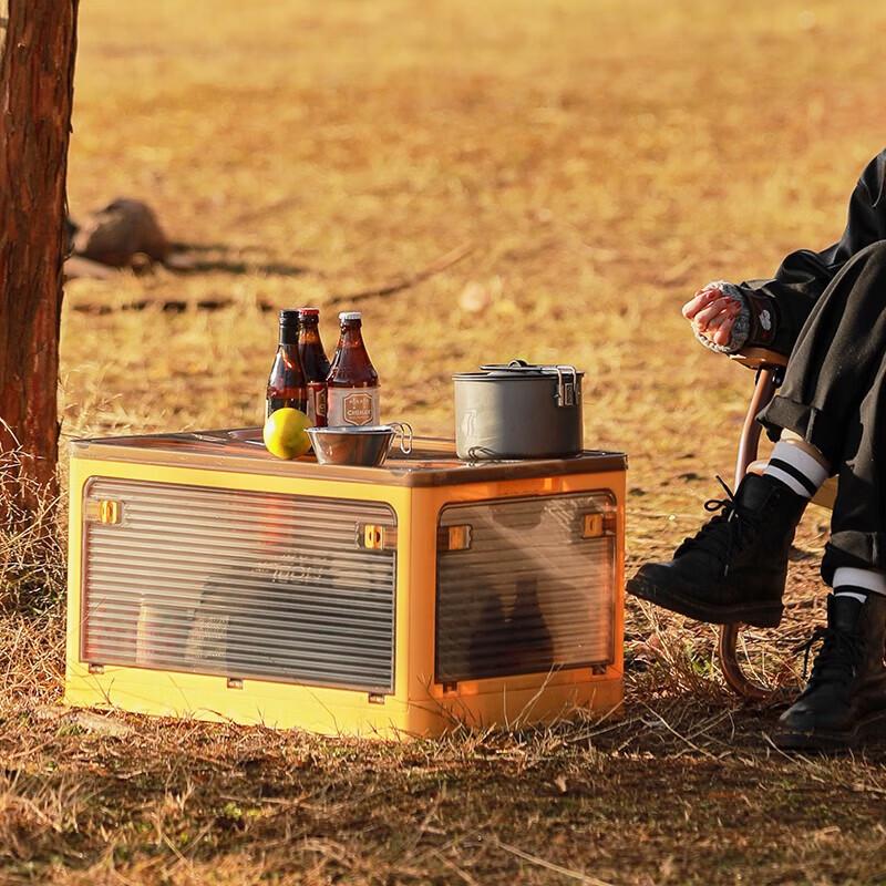 Youtuozhe 5-Door Visible Folding Storage Box