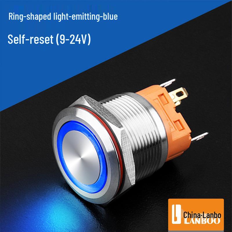 Lanbo 22A Stainless Steel Illuminated Self-Locking Momentary Push Button Elevator Switch