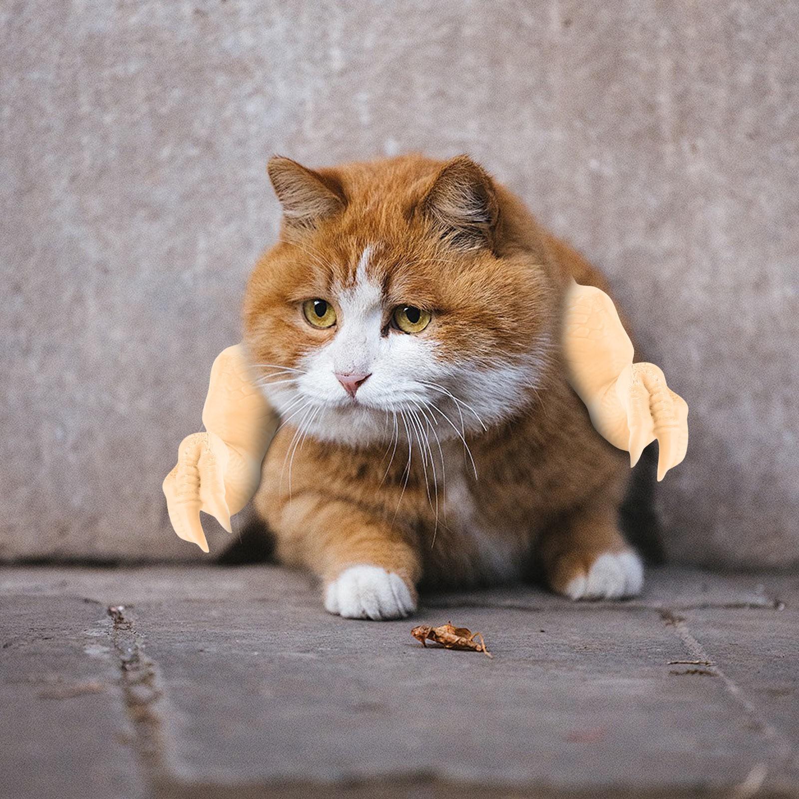 

3D-печатная кошка на шею, на руку, мышцы, украшение для питомца, повязка на шею, на руку One Size