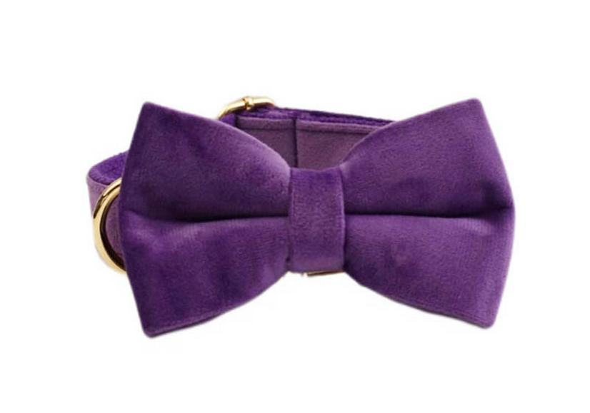 Purple Velvet Dog Collar & Leash Set