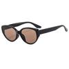 New Gradient Cat Eye Fashion Sunglasses For Women Trendy Anti-Reflective Fashion Shades Beach Party Casual Glasses