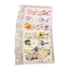 5 Bags Pressed Flowers Assorted Styles Vibrant Rich Details Multi Purpose Colorful Dried Flowers for DIY Mold Bookmark