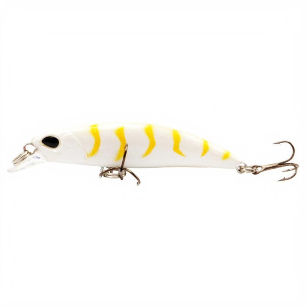 Sinking, Hard Plastic Fishing for and Fish