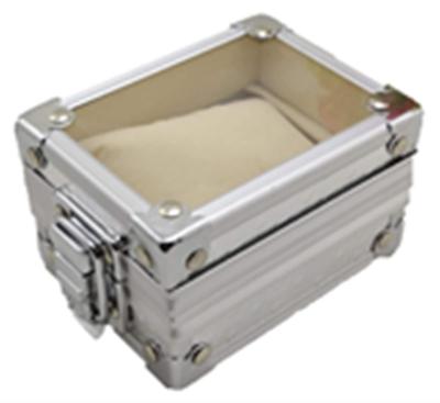 Pbwa Smile Aluminum Watch Holds 1 Silver Case, Watch,