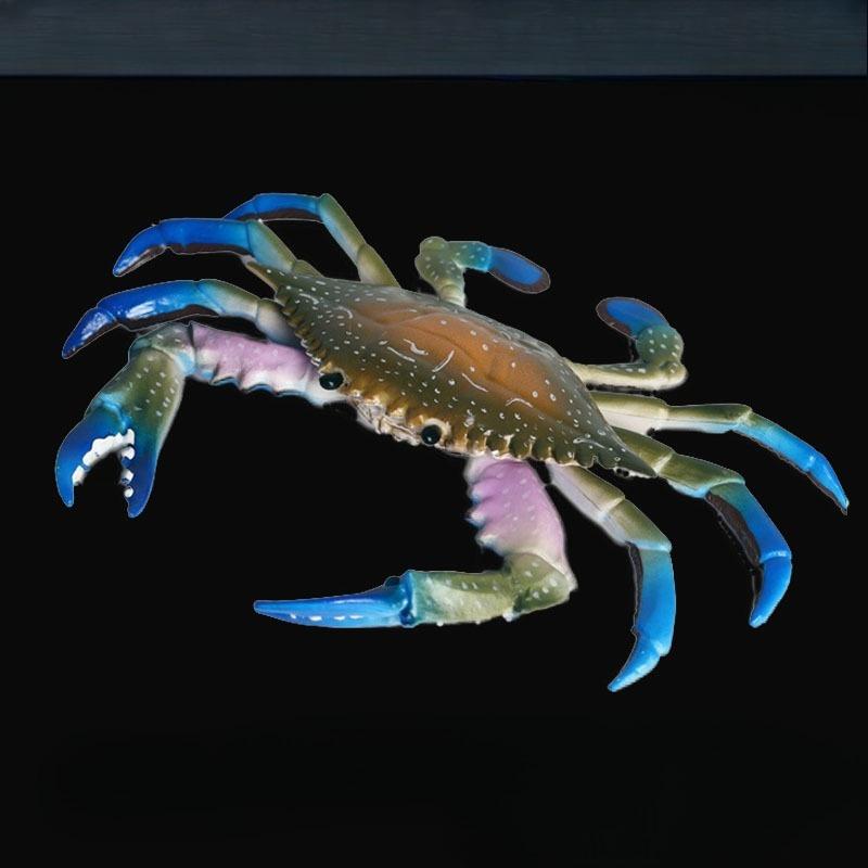 1Pc Children's Fun Educational Marine Biology Simulation Model, Solid Crab, Blue-footed Crab Animal Toys