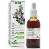 Soria Extrakt Fucus S XXI 50ml