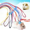 1,4/2m Small Pet Hamster Rabbit Regulowana smycz do chodzenia z liną trakcyjną