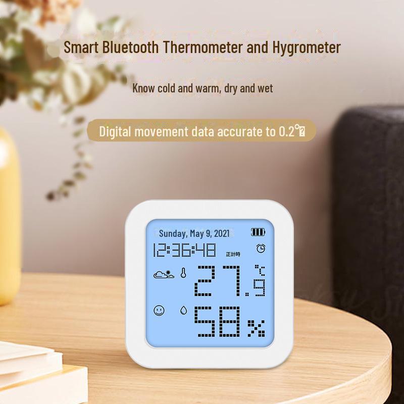 Bluetooth Indoor/Outdoor Thermo-Hygrometer: Wall-Mounted, Baby Room & Pet Climbs. Customizable Dry/Wet Display.