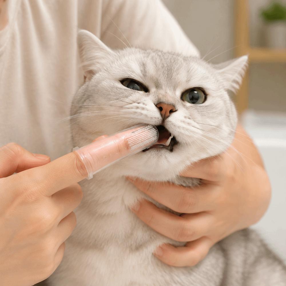 5/10pcs Ultra-Soft Cat Silicone Toothbrush Remove Bad Breath Dog Toothbrush Oral Cavity Cleaning