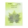 Autumn Leaf Sticky Notes: High-Value Book for Student Messages