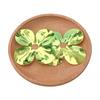 Four-petal Flower Sequin Shell Center Beads for Stage Decoration and Clothing Accessories