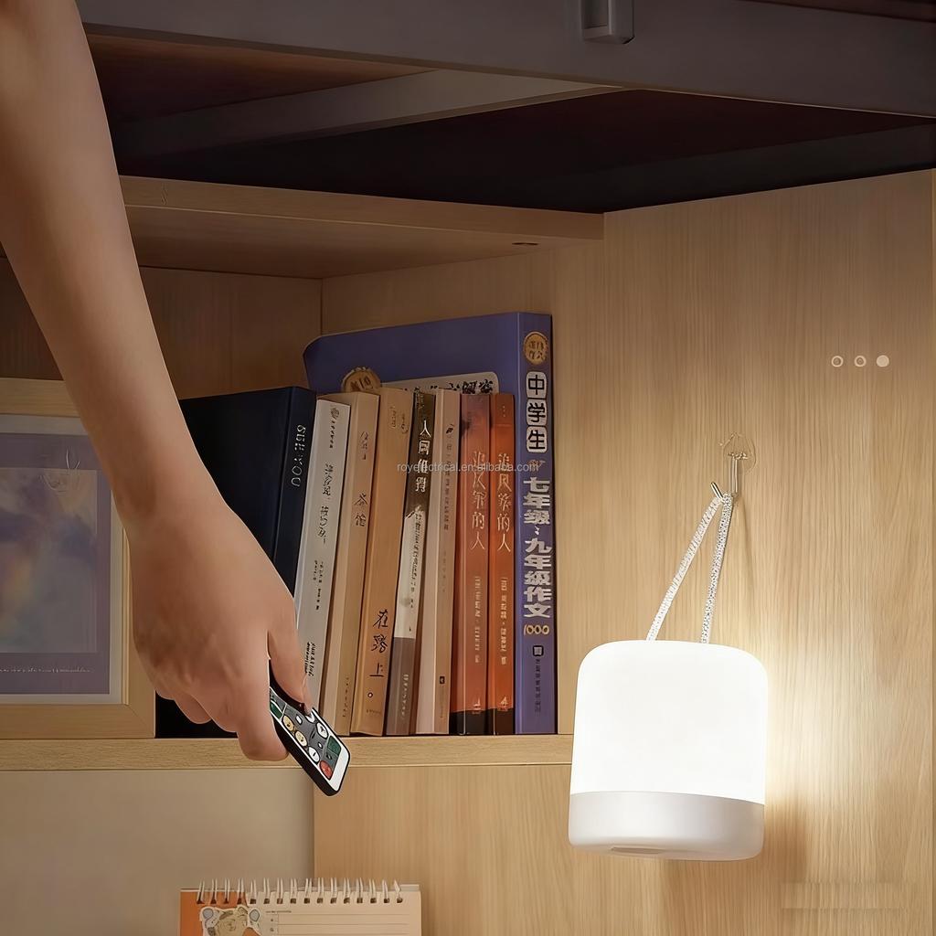 LED Night light 3W Hanger