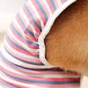 Pet Menstrual Pants Dog Diaper Belt Female Sanitary Panties Shorts Waterproof Breathable Halter Neck Design Untrained Heat Excitability Incontinence