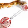 Reptile – Terarii pentru reptile