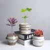 Flower Pot Ceramic Indoor Desktop Exquisite Succulent Green Plant Small Pot Office Living Room Home Creative Small Hanging Orchid Pot