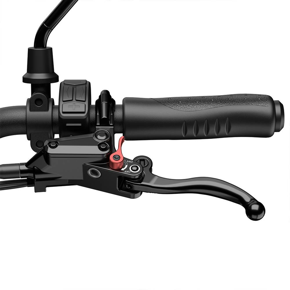 Bicicleta Eléctrica Fafrees F20 Mate Motor de 250W Frenos de Disco Doble Neumático de Aire 20"x2.5" Plegable E-Bike de Carga Pantalla LCD 48V 21Ah Carga Máxima 180Kg