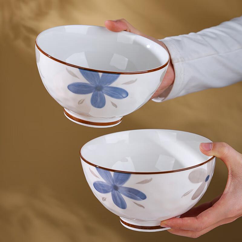 Hegawaya Japanese Ceramic Noodle & Rice Bowl Set