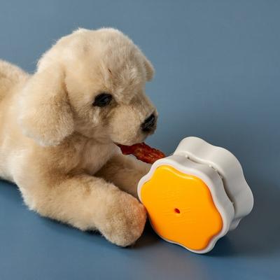 Yogi Pet Yogi Food Clip Nose Work for Dogs 80 X 80 X 50 Mm, ORANGE, 1 Piece