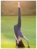 2026 Atemberaubendes Damen Fitness-Set mit kurzen Ärmeln, doppellagig, für Yoga & Pilates