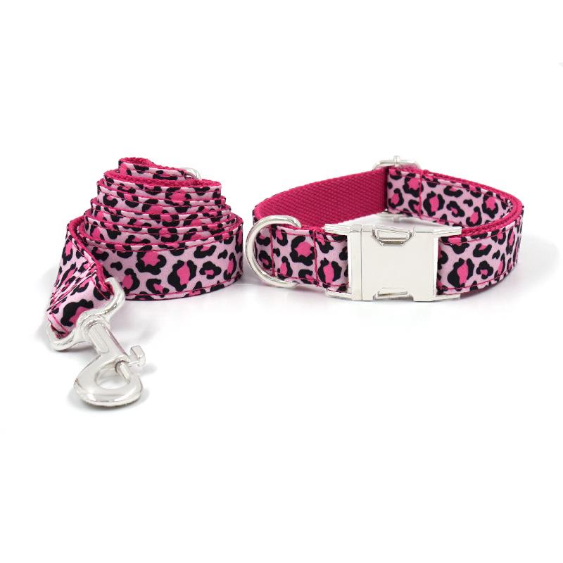 INS Large Dog Collar and Leash - Durable Pet Neck Collar & Leash Set XS
