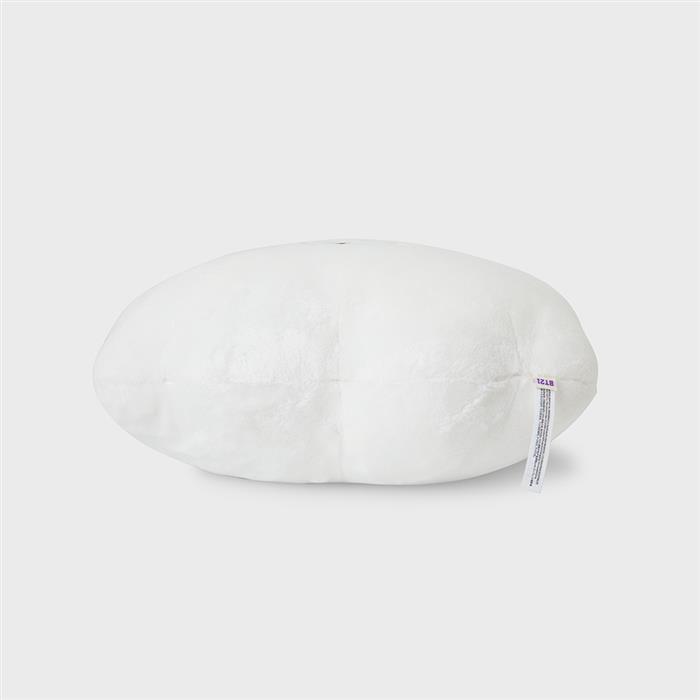 Line Friends BT21 RJ Hope in Love Face Cushion