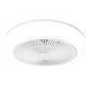 Smart Silent Ceiling Fan Light for Living Room and Bedroom