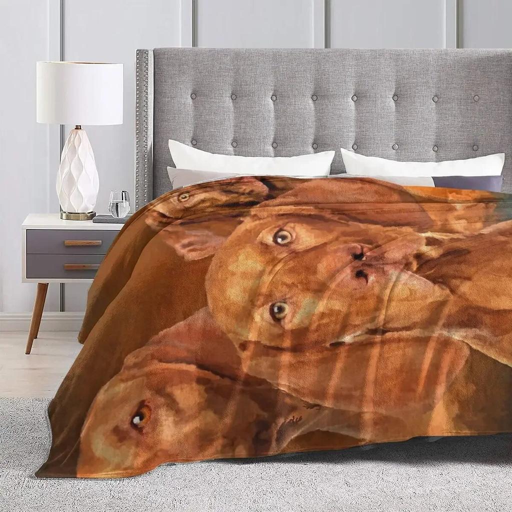 Flannel Throw Blanket Vizsla - Hungarian Pointer Collage Blankets Bedding Warm Plush Blanket for Bed Picnic Travel Home Couch