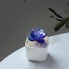 Glazed Succulents Potted Plants Artificial Succulents Mini Maintenance-Free